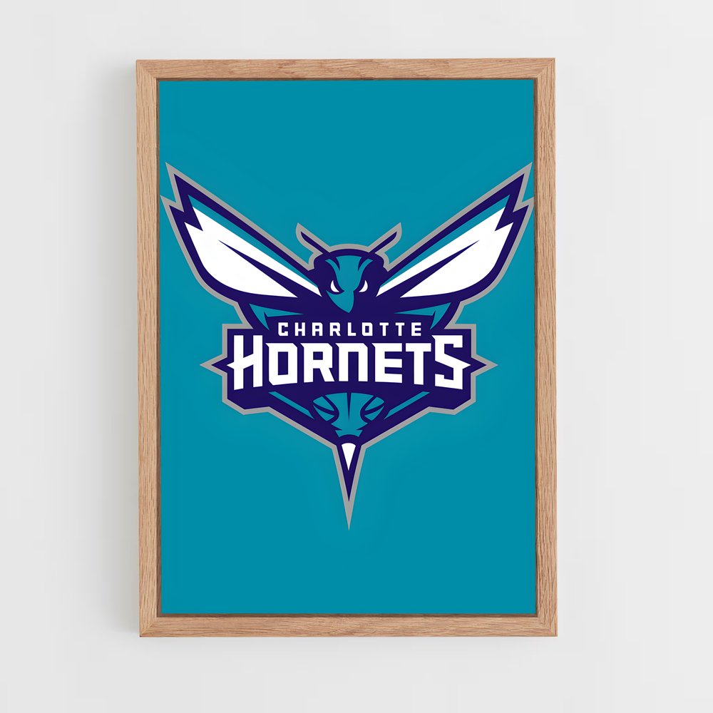 Poster Charlotte's Vibe – affiche Basketball (vue 4)